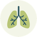 Icon of a set of lungs