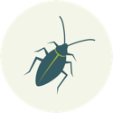 Link to Integrated Pest Management Page