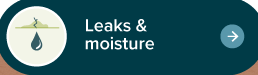 Link to leaks page